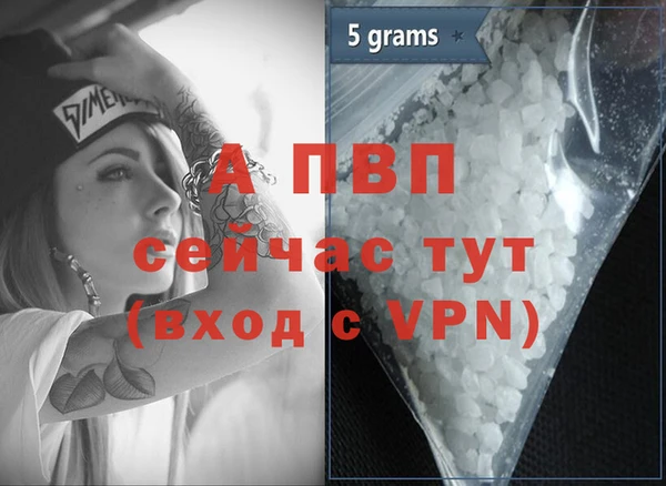 спиды Белокуриха